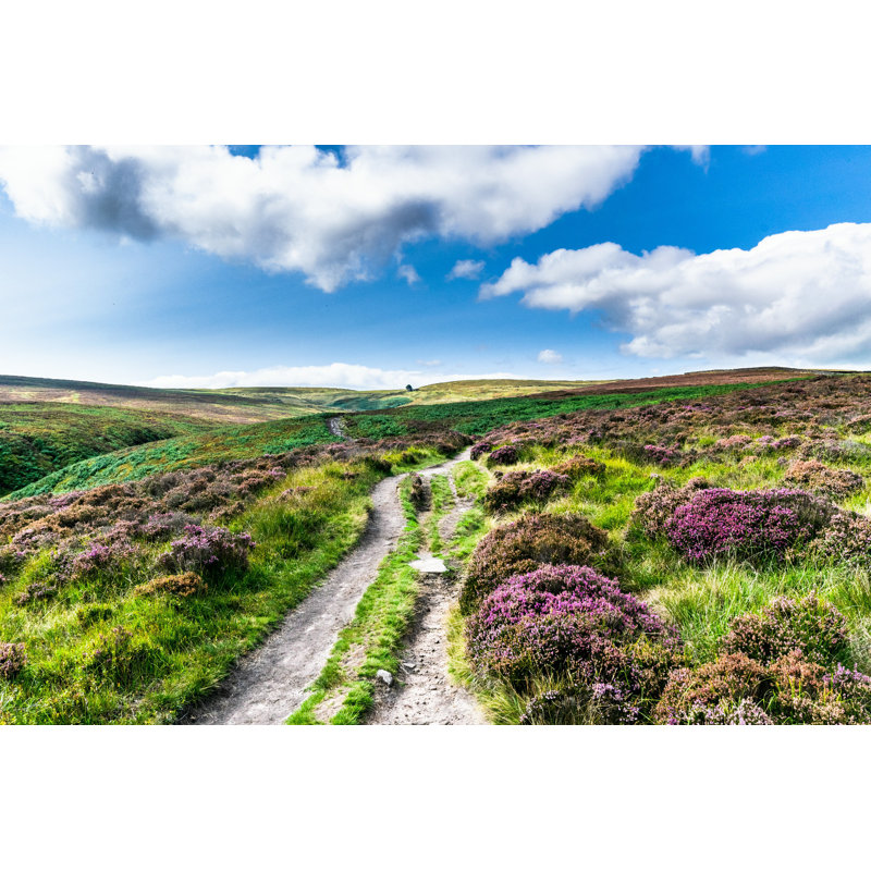 Haworth Moor, Yorkshire, L 12 po x H 8 po