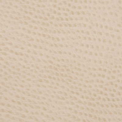 Ossy Fabric