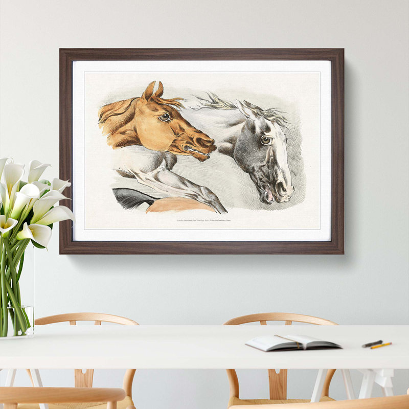 Horse Illustrations by Henry Alken - Picture Frame Painting Print, Walnut Framed, 36cm H x 48cm W x 2cm D