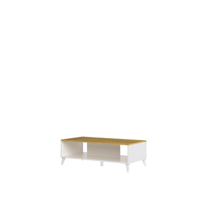 Crellin Coffee Table with Storage