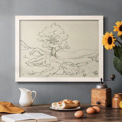 " Christchurch Oak II "