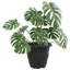 Round Flower Pot 6 Pcs Plastic-465710654-465710651