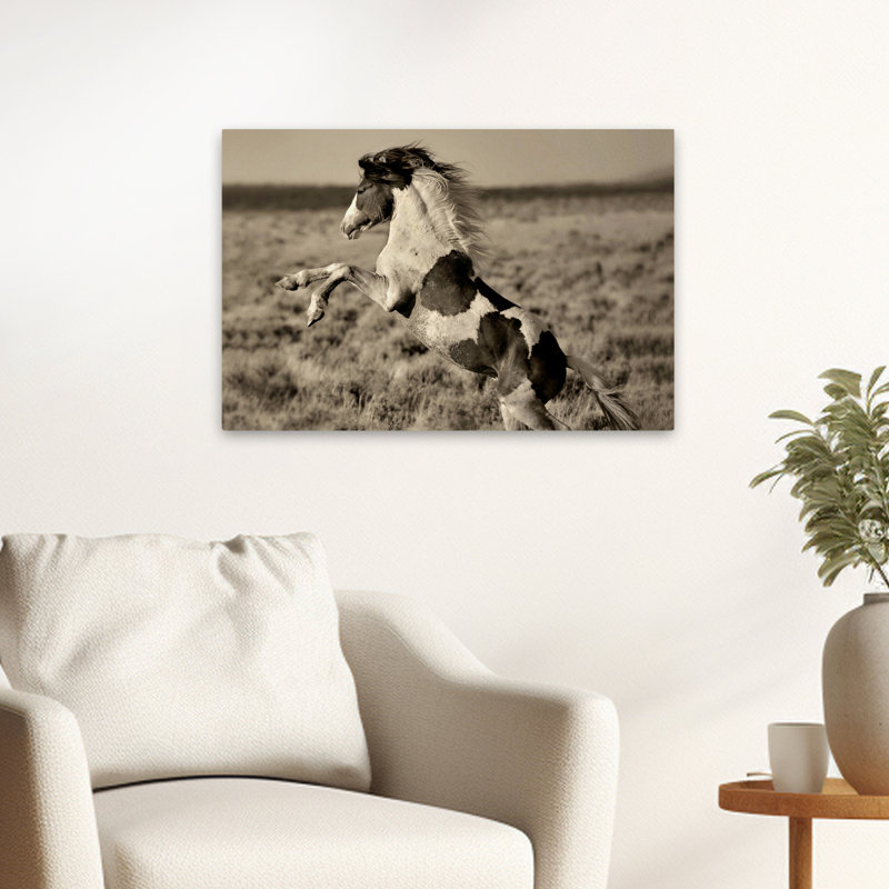 Poney sauvage peint - Photographie, chevaux, art, H 24 po x l 16 po