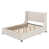 Beige est en rupture de stock