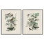 «Honeybloom Birds in Nature», ensemble de 2 giclées encadrées, design par Wild Apple Portfolio