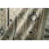 Lastasha Viscose Geometric Indoor Rug