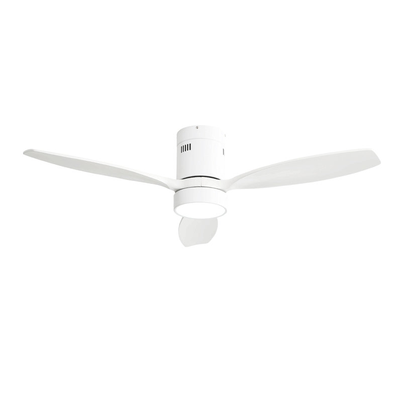 Ventilateur de plafond intérieur / extérieur 52 pouces