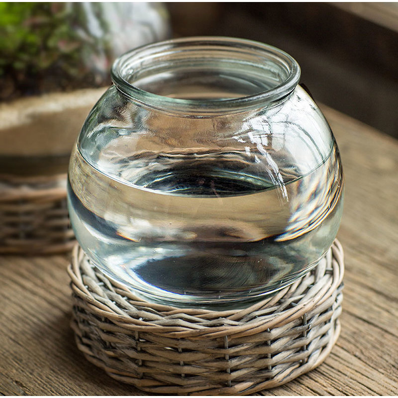 Terrarium à mèche et à verre Blevens, H 7,5 po x l 7 po x P 7 po