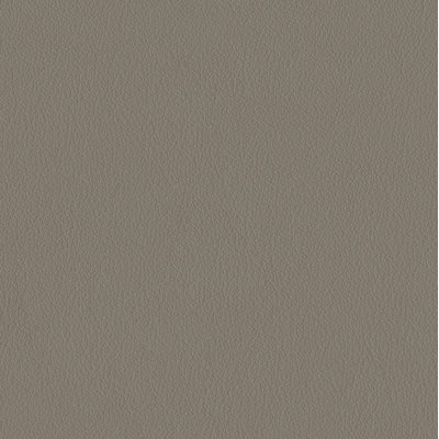 Elan Flannel Sample