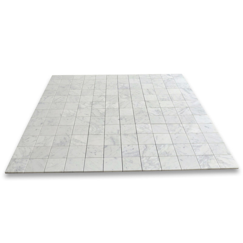 Carreau de mosaïque 12 po x 12 po