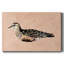 Toile tendue Feathered Friend III-Gallery-1083876092