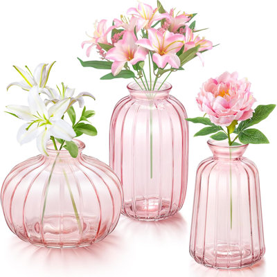Anirvin Glass Table Vase
