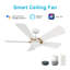 Ventilateur de plafond intelligent 52 po avec télécommande Savili, ensemble d'éclairage inclus, fonctionne avec l'assistant Google et Amazon Alexa, raccourci Siri.-513847359-513847358