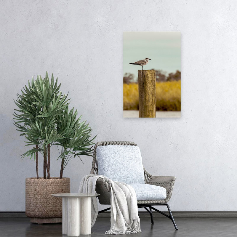 Goéland sur un pieux - St Augustine - paysages côtiers, photographie d'animaux, art, H 24 po x l 16 po