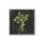 «Rustic Herbs I» par Danhui Nai, reproduction d'art-131109224-131109225-131109231