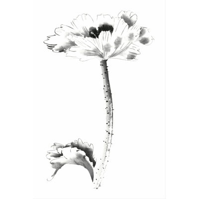 Ink Poppy by Nan Rae - Wrapped Canvas Painting