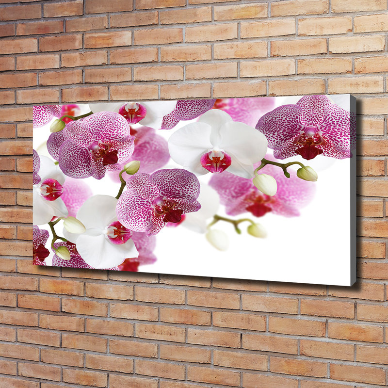 Orchid 1 Piece Wall Art on Canvas