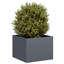 Planter-1937852853-1920376239