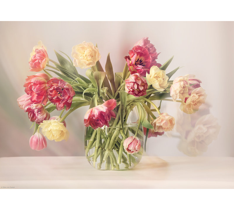 Wrapped Canvas Print, 50.8 cm H x 76.2 cm W