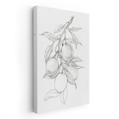 «Fruit-Tree Branch I», impression sur toile