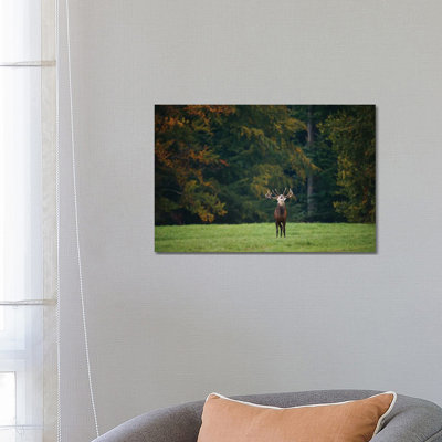 Roar by Mateusz Piesiak - Wrapped Canvas Print