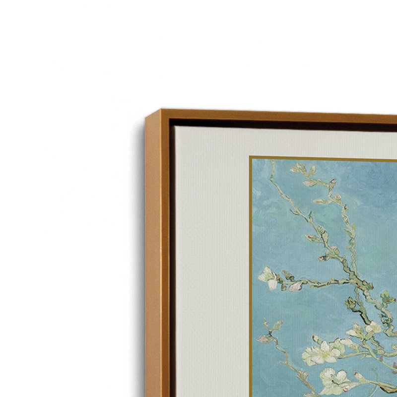 Fleur d'amandier de Van Gogh, H 20,75 po x l 30,75 po, Cadre flottant or poli