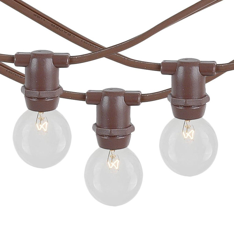 Outdoor 100 - Bulb 11'' Plug-in Novelty String Light, White/Clear, Clear, Incandescent