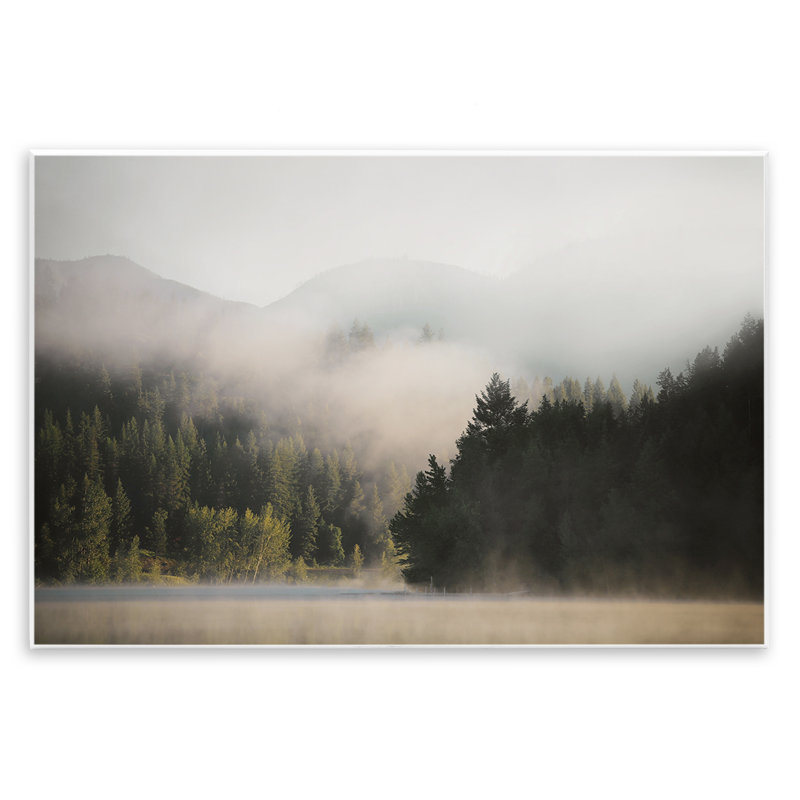«Rolling Fog Woodland View» par Carol Robinson, H 10 po x l 15 po