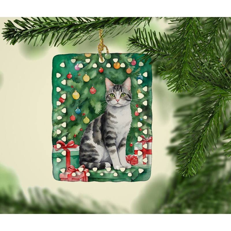 Ornement en porcelaine American Wirehair, Chat American Wirehair