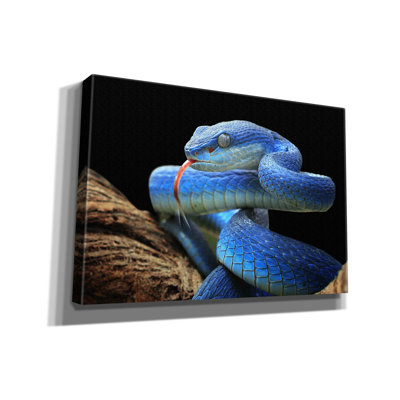 'Blue Viper Snake' by Epic Portfolio, Canvas Wall Art
