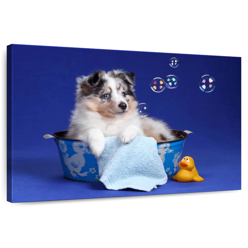 Brampt Puppy Bath Time, 20" H x 30" W