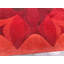One-of-a-Kind 4'7" x 6'6" Area Rug