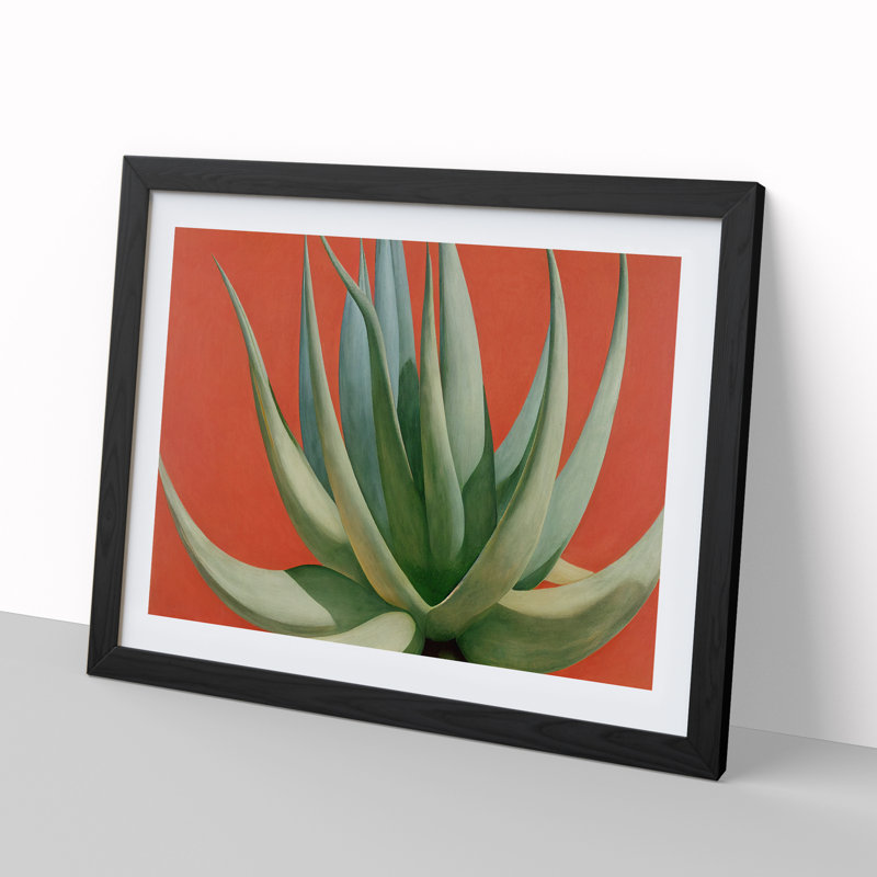 Compelling Aloe Vera Plant - Single Picture Frame Print, Black Framed, 46cm H x 64cm W x 2cm D
