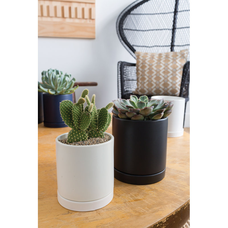 Jardinières en pot, Blanc, H 5,8 po x l 5 po x P 5 po