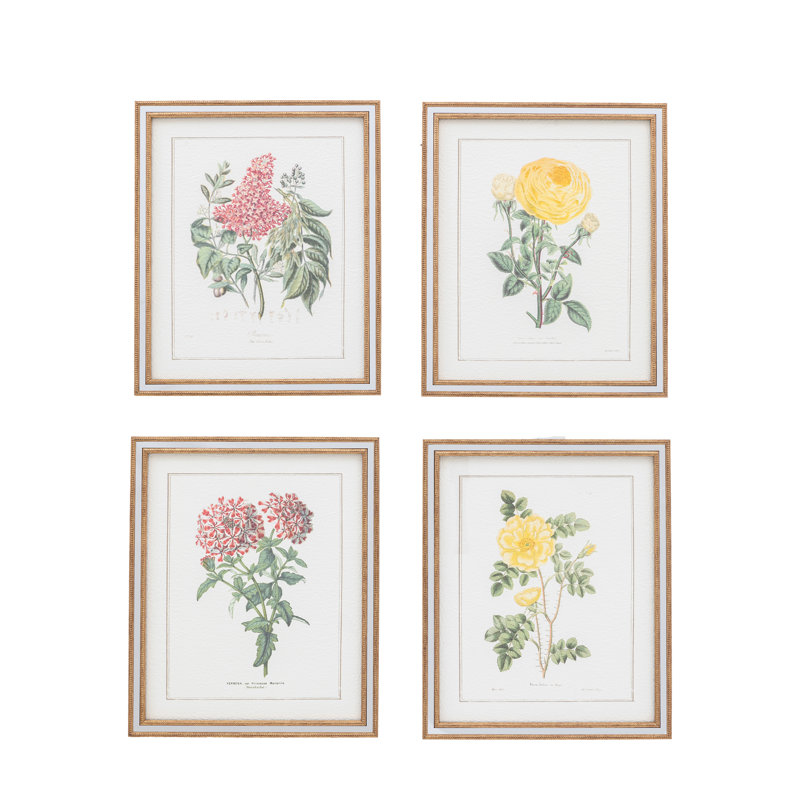 Floral Quartet Framed Art