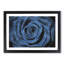 Pretty Blue Rose - Framed Print-56758324-56758327