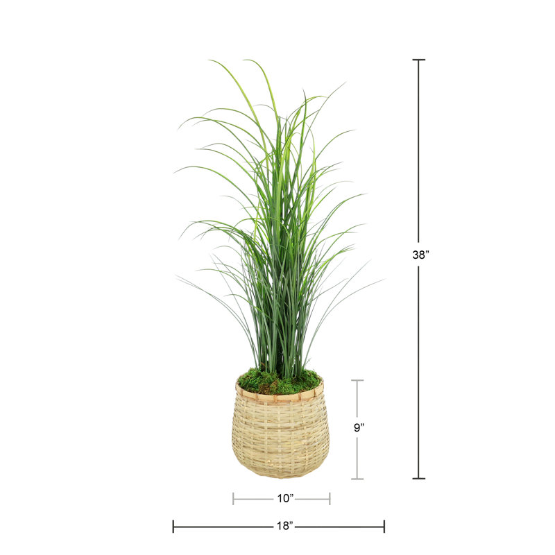 Herbe en pot de bambou