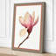 Magnolia Blossom Botanical - Wrapped Canvas-269510005-269509997
