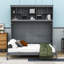 Space-Saving Queen Murphy Bed with Cabinet-1204140168