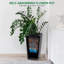 Pot Planter-992685542