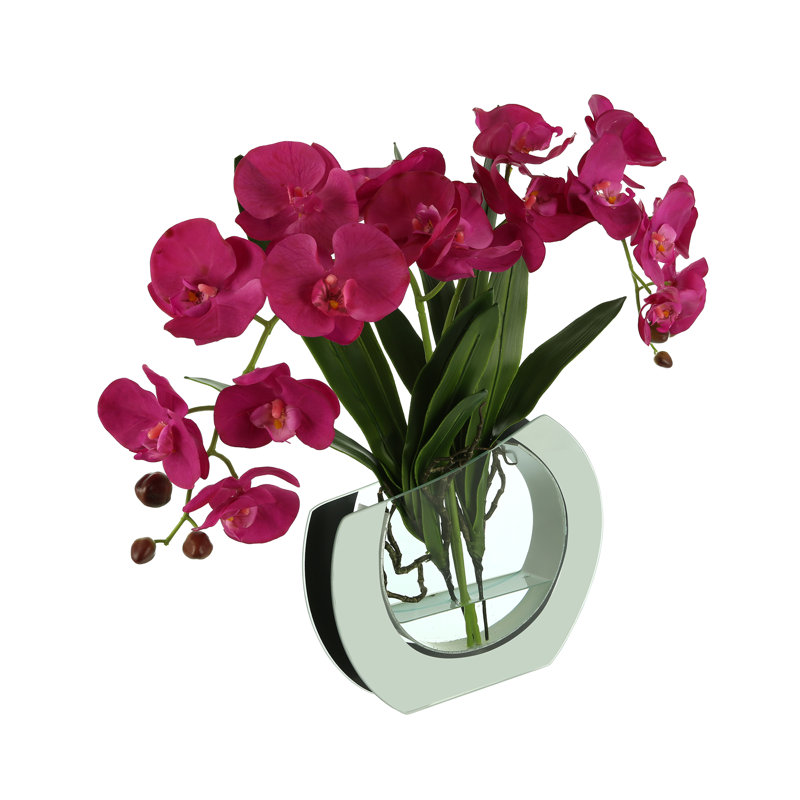 Creative Displays, Inc. Transitional Isle Orchid Arrangement in Vase ...