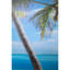 Eli room divider, double-sided digital printing-352150245