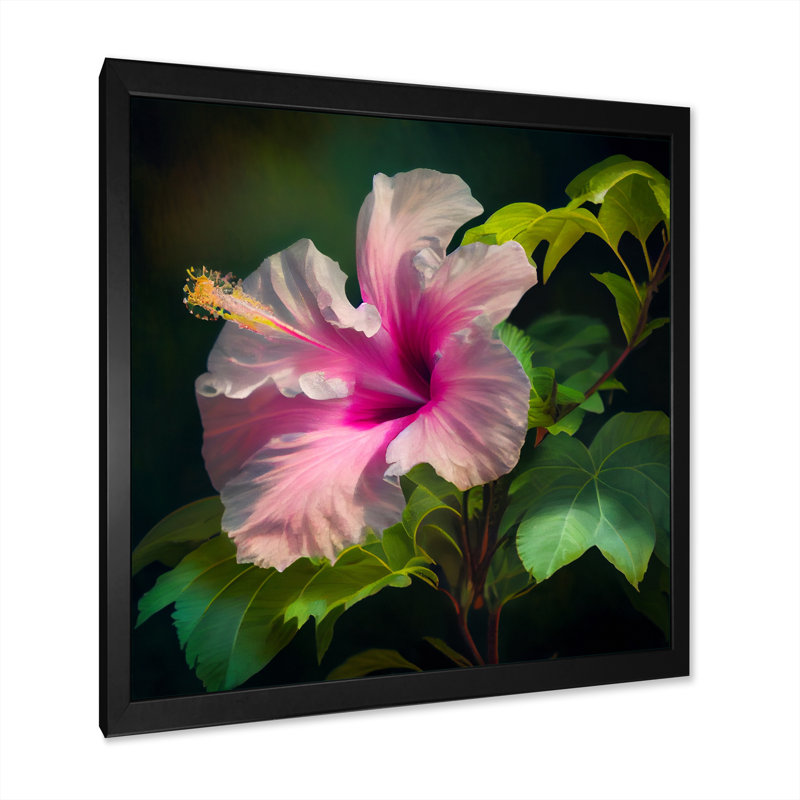 Blooming - Hibiscus rose et blanc III - impression, Cadre flottant noir, H 16 po x l 16 po x P 1 po