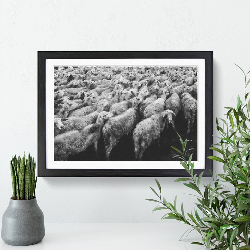 Flock of Sheep Vol.1 - Framed Print, 36cm H x 48cm W x 2cm D, Black Framed