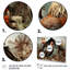" Roaster Barnyard Serenade I " by Designart 3 - Pieces-1104787640