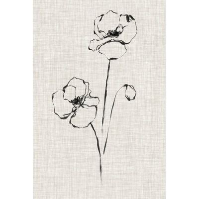 UA CH Floral Ink Study III by Ethan Harper - Wrapped Canvas Print