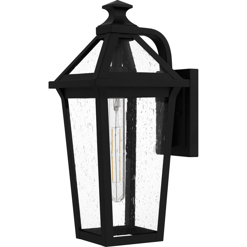 Frimmy 1-Light Matte Black Outdoor Wall Lantern