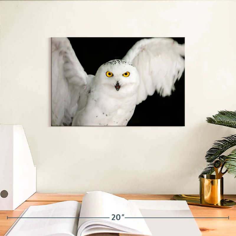 Brampt White Owl, 8" H x 12" W