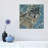 Broken Silence - Grey Wolf, Square by Collin Bogle - Print on Canvas-1582067324-1582067283