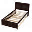 Lit simple avec lit gigogne-397519852-397519854